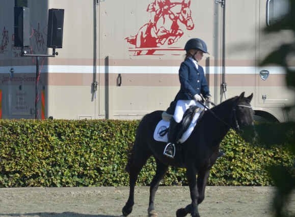 Paardensport