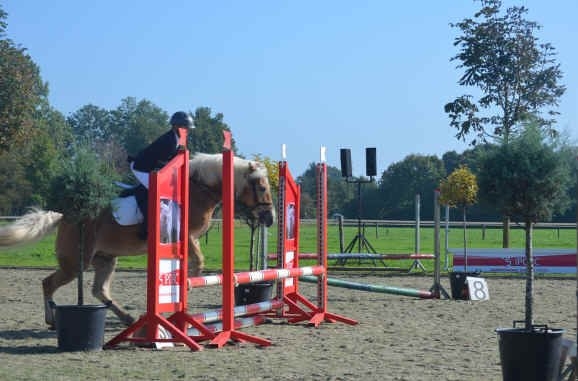 Paardensport